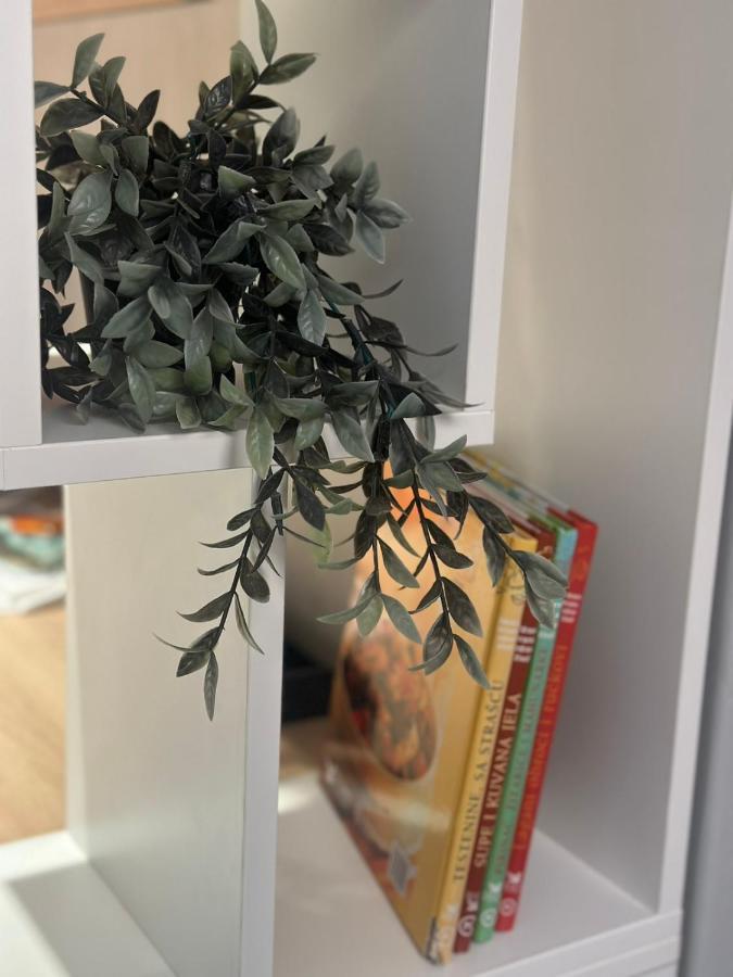 Eva Apartment Нови Сад Екстериор снимка